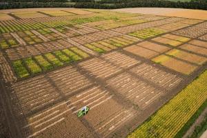 Вологодский гектар: заниматься сельским хозяйством может любой