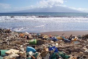 Учёные выяснили, что происходит с пластиковым мусором в океане