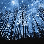 Народные приметы: 30 апреля