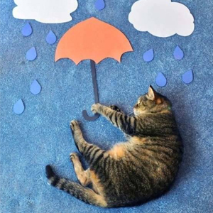 Народные приметы от INNOV: 1 августа