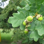 Народные приметы от INNOV: 18 мая