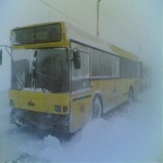 Количество автобусов в морозы увеличат
