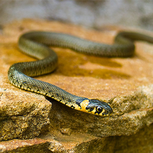 Народные приметы от INNOV: 25 сентября