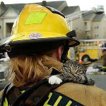 В Подновье состоятся тактико-специальные учения спасателей