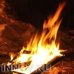 В Нижегородской области введен запрет на посещение лесов