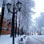 Нижний Новгород почти успешно справился с первым снегопадом