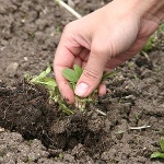 Народные приметы от INNOV: 19 июня