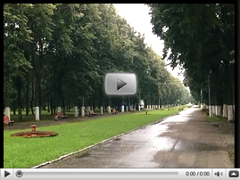 Дорожки в Автозаводском парке отремонтируют