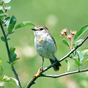 Народные приметы от INNOV: 29 июня