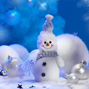 Нижегородский снеговик появится в кремле