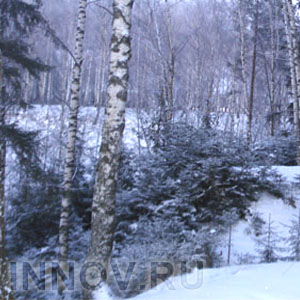 Нынешняя зима будет самой холодной за последние 100 лет