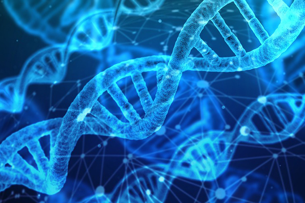 Анализ ДНК: для чего он делается