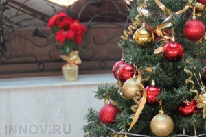 На новогоднее украшение Нижнего Новгорода планируется потратить около 10 млн рублей