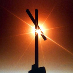 На кладбище в Бутурлинском районе обнаружили могилу человеческого плода