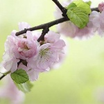 Народные приметы от INNOV: 15 мая