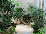 СИБУР подарил детским садам Дзержинска «зеленые комнаты»