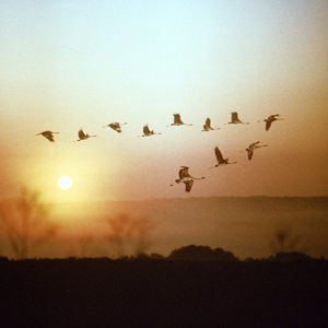 Народные приметы от INNOV: 27 августа