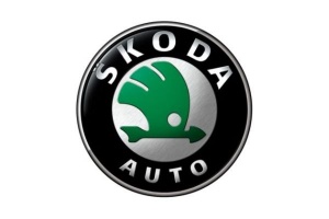 Две популярные модели Skoda получили в России новые моторы и опции