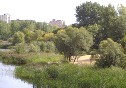 Пляж на Мещерском озере