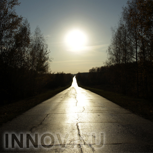 28 июля в ДТП на юге Италии погибло 36 человек