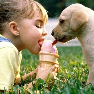 В нижегородском мороженом есть вредные добавки