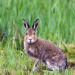 Народные приметы от INNOV: 14 сентября