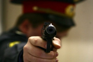 Нижегородские полицейские ранили двух дебоширов 