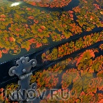 Денис Лабуза обозначил проблемы НХП «Золотая Хохлома»