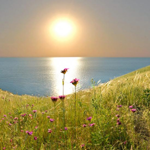 Народные приметы от INNOV: 7 августа