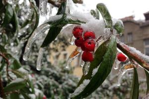 Россиян предупреждают о теплой зиме с возможными ледяными дождями