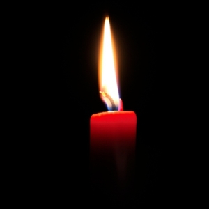 В связи с гибелью ректора ННГАСУ отменён ежегодный фестиваль "Побережье-2013"