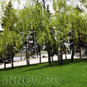 Новым туристическим центром Нижнего станет парк Кулибина