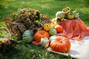 Осень «на носу»: какие продукты включить в свой рацион
