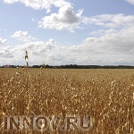 Народные приметы: 27 апреля