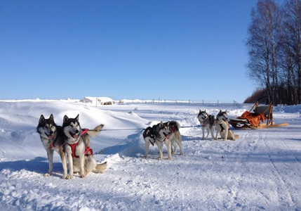 Хаски Хаус, шаман-клуб