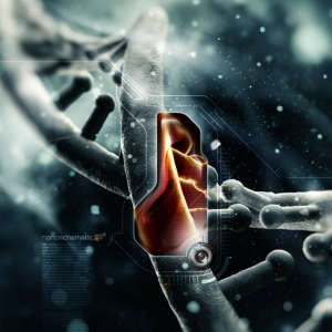 Обнаружен ген, позволяющий тканям тела быстро восстанавливаться