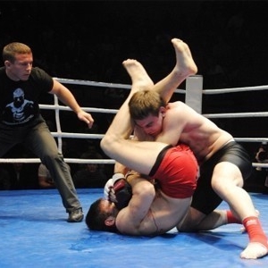 Турнир по смешанным единоборствам пройдет в Нижнем Новгороде