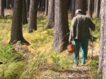 Ковернинские полицейские нашли-таки в лесу заблудившегося пенсионера
