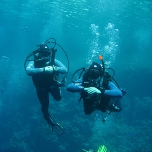 Нижегородские дайверы примут участие в субботнике