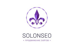  SOLONSEO      - Dive In Marketing 2016  