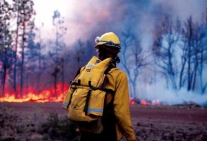 2-3 августа ожидается высокая пожароопасность лесов и торфяников (4 класс)!