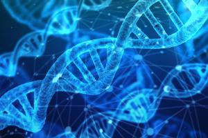 Анализ ДНК: для чего он делается