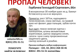 В Кстовском районе пропал пенсионер Геннадий Горбачев