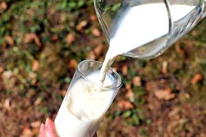 Россияне могут столкнуться с нехваткой молочной продукции