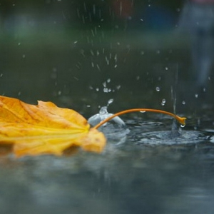 Народные приметы от INNOV: 24 сентября