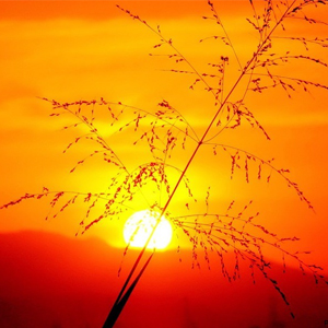 Народные приметы от INNOV: 28 июля