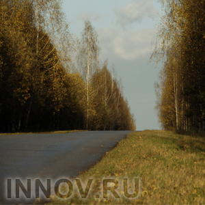 Сегодня в Нижнем Новгороде автомобиль сбил лося