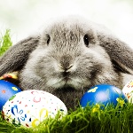 Нижегородцы отмечают Пасху