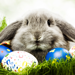 Пасха. Красим яйца и готовимся к забавам