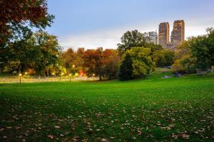 Что посмотреть в районе Люблино в Москве: достопримечательности и особенности